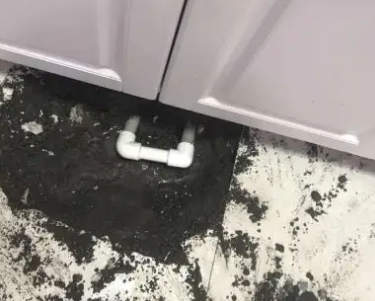 沂源查漏水哪家好